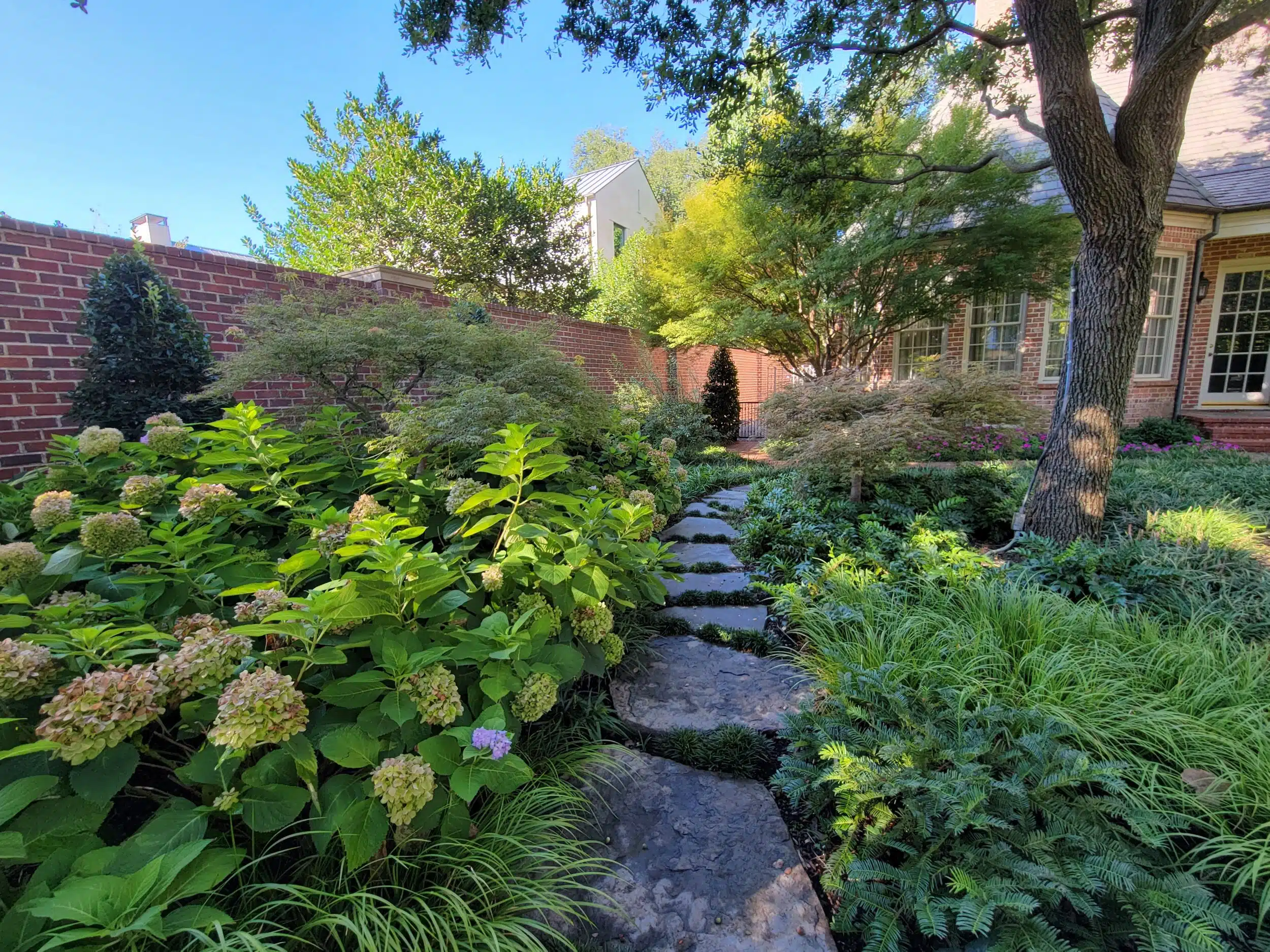 Landscape Design DeSoto